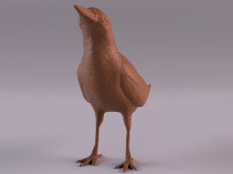 Magpie 3D Print Model