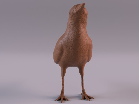 Magpie 3D प्रिंट मॉडल