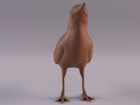 Magpie 3D Print Model