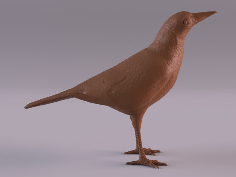 Magpie 3D प्रिंट मॉडल