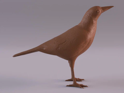 Magpie 3D Print Model