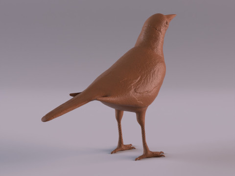 Magpie 3D प्रिंट मॉडल