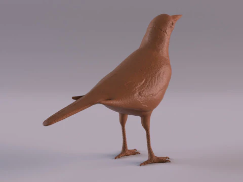 Magpie 3D Print Model