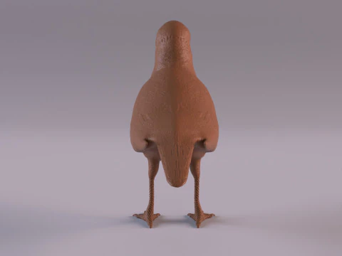 Magpie 3D Print Model