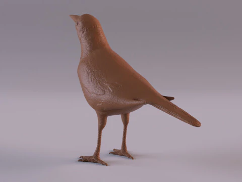 Magpie 3D Print Model