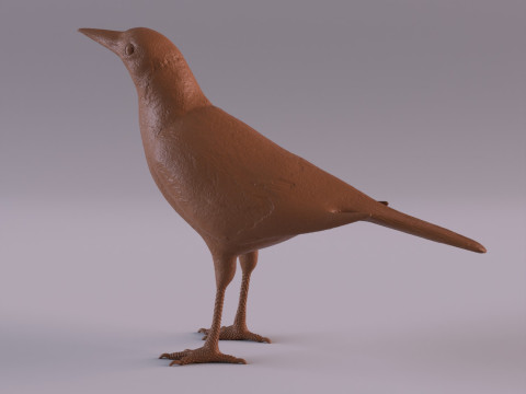 Magpie 3D प्रिंट मॉडल