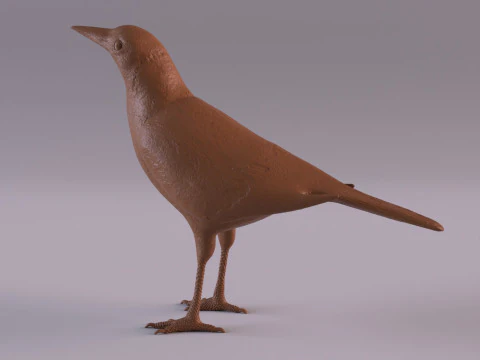 Magpie 3D Print Model