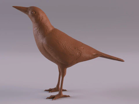 Magpie 3D Print Model
