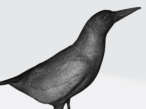 Magpie 3D प्रिंट मॉडल