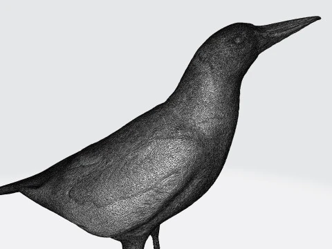 Magpie 3D Print Model