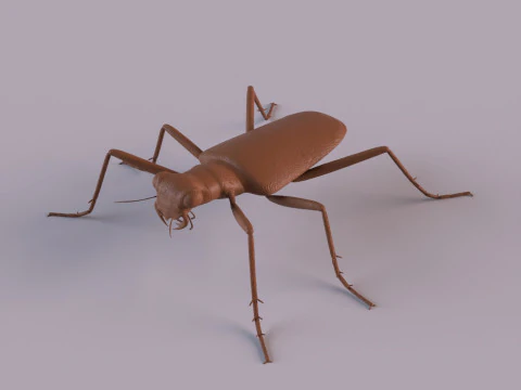 Six Spotted Tiger Beetle 3D Print Model