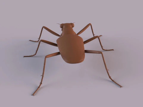 Six Spotted Tiger Beetle 3D Print Model