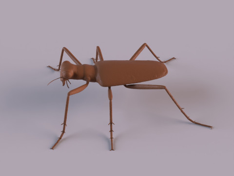 Six Spotted Tiger Beetle 3D Print Model
