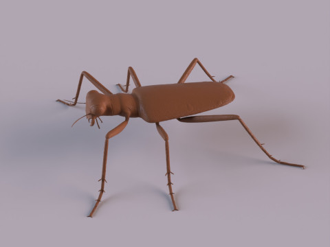 Six Spotted Tiger Beetle 3D Print Model