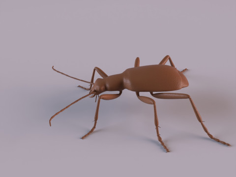 Beetles 3D 프린트 모델