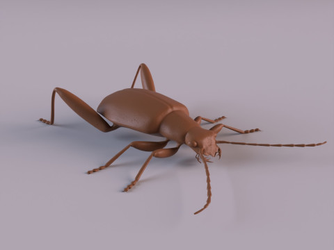 Beetles 3D 프린트 모델