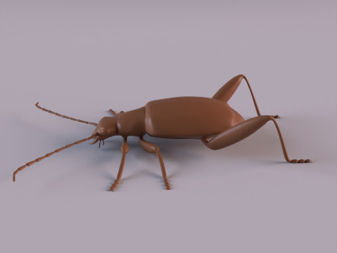 Beetles 3D 프린트 모델