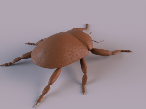 Beetles 3D 프린트 모델