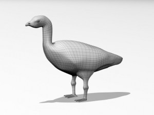 red breasted goose Modèle 3D