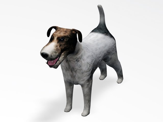 fox terrier 3D Model in Dog 3DExport