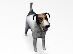 fox terrier 3Dモデル