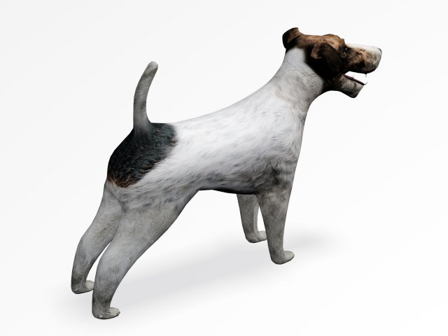 fox terrier 3D Model in Dog 3DExport