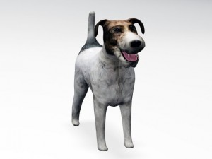 fox terrier 3Dモデル