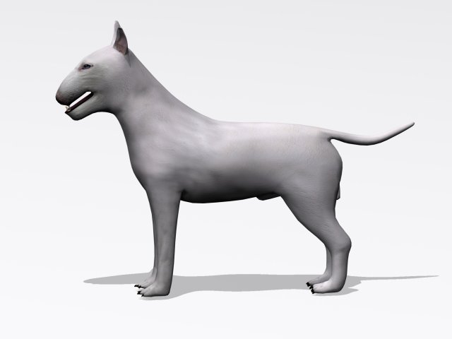 bull terrier 3Dモデル .c4d .max .obj .3ds .fbx .stl .blend 
