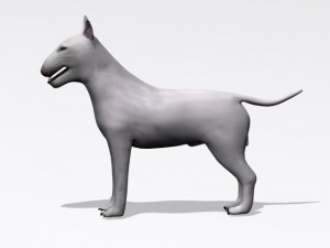 bull terrier 3D Model