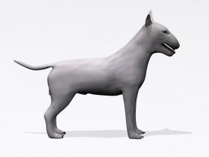 bull terrier 3Dモデル