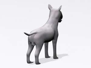 bull terrier 3Dモデル