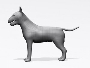 bull terrier 3Dモデル