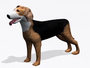 hamilton stovare 3D मॉडल