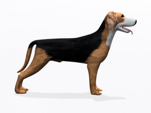 hamilton stovare Modelo 3D