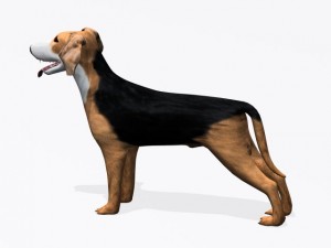 hamilton stovare Modelo 3D