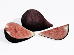 figs Modelo 3D