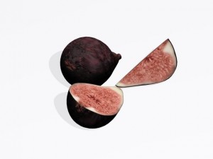 figs 3Dモデル