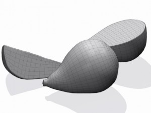 figs 3Dモデル