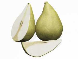 pears 3D Модель