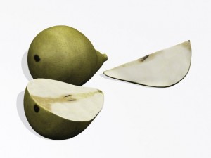 pears 3D Модель
