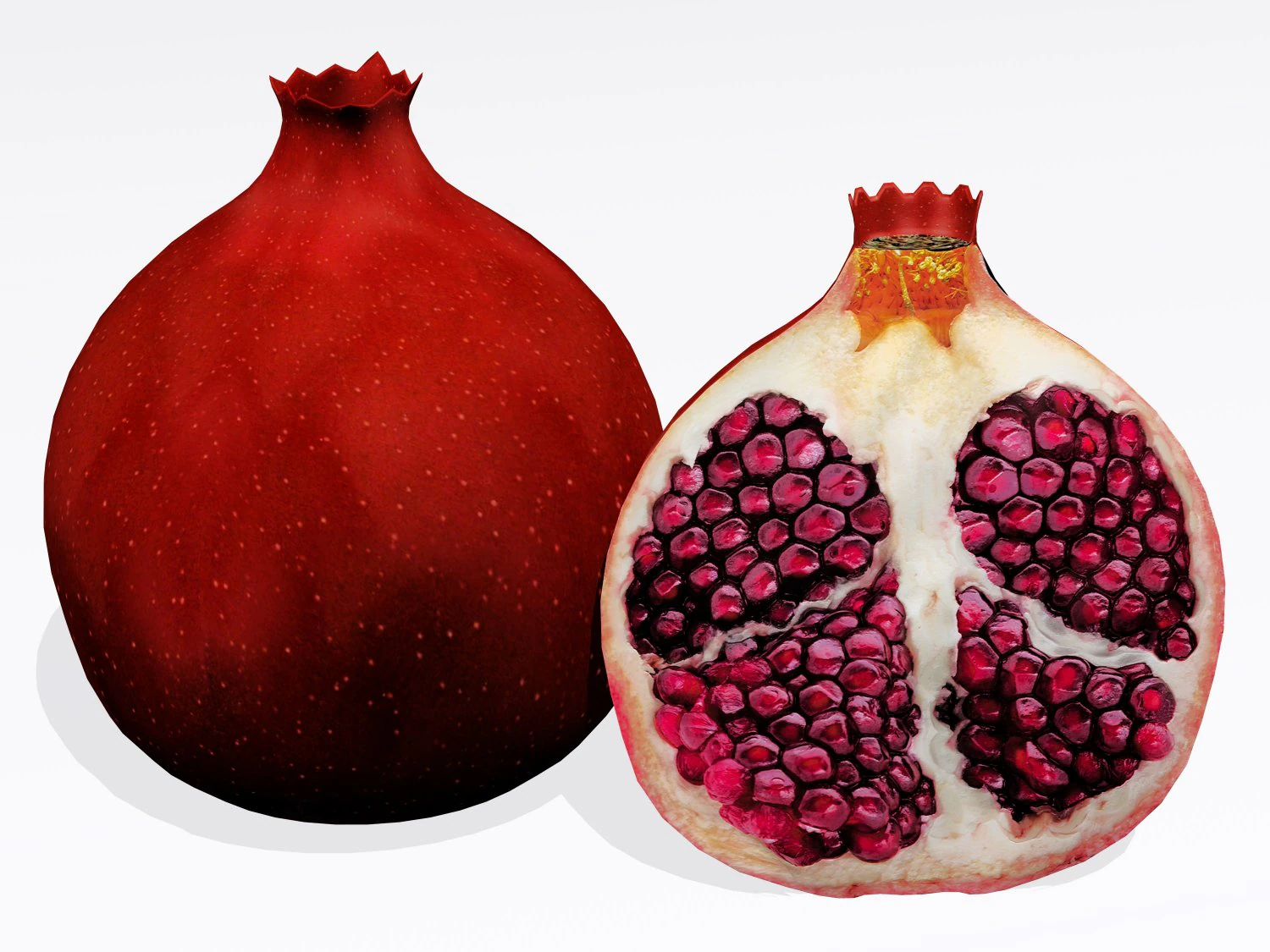 melograno Modello 3D .c4d .max .obj .3ds .fbx .stl .blend 