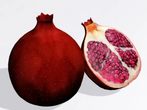 melograno Modello 3D