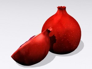 pomegranate Model 3D