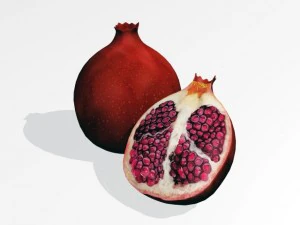 melograno Modello 3D