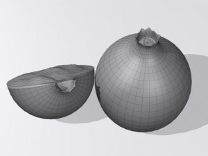 pomegranate Model 3D