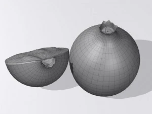 melograno Modello 3D