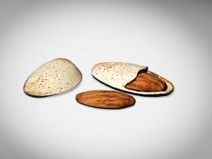 almonds 3D Model