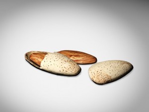 almonds Model 3D