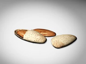 almonds 3D Model