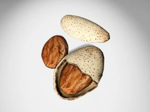almonds 3D Model